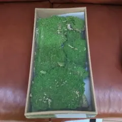 Item thumbnail for item c4bc929d-58e3-4fd2-b73f-3fd1832ed8a1