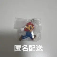 スーパーマリオ めじるしアクセサリー マリオ