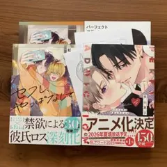 BL漫画新刊 パーフェクトアディクション（4）他1冊