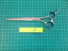 Item thumbnail for item 79ec54af-110b-48a7-aa53-7818f4bf2fb3