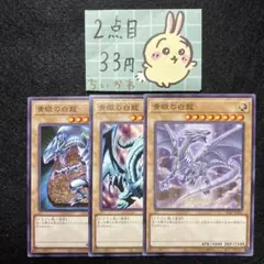 遊戯王 青眼の白龍 ×3 ノーマル