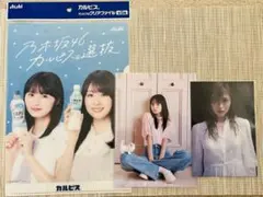 乃木坂46　カルピス　アサヒ　クリアファイル　ノベルティ　ポストカード