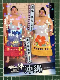 2026年最新】初芽 戦国大戦の人気アイテム - メルカリ
