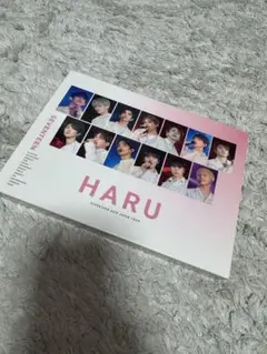 SEVENTEEN HARU 2019-2020