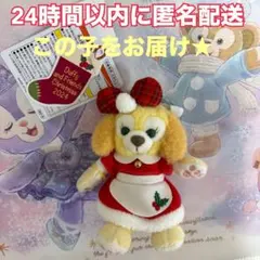 【オンライン購入】クッキーアン♡クリスマス♡ぬいぐるみバッジ