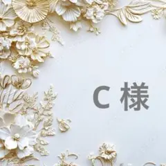 ポケットティッシュケース2枚セットNo.427