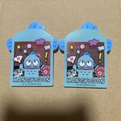 【匿名配送】ハンギョドン アクリルブローチセット
