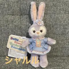 お顔厳選　ステラルー　ワンダフルフレンドシップ　ぬいぐるみバッジ　ぬいば