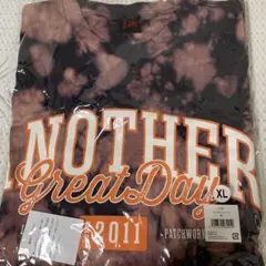 LiSA ANOTHER Great Day Tシャツ XL タイダイ