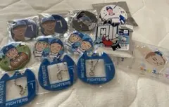 ファイターズ スポーツ選手