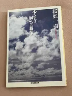 少女には向かない職業