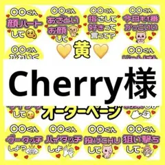 Cherry様　専用　カンペうちわ