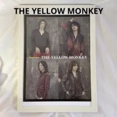 THEYELLOWMONKEY / イエローモンキー / イエモン