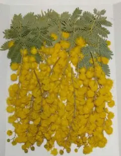 ルナ@様 リクエスト 3点 まとめ商品