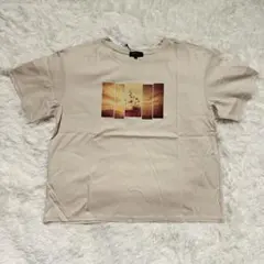 Item thumbnail for item 703bdb11-2281-4e1b-a7d8-2c17208a8a5e