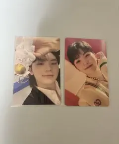 ウジ　まとめ売り