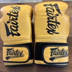 2026年最新】フェアテックス Fairtex グローブの人気アイテム - メルカリ