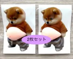 お腹プニプニシール 柴犬 3Dシールステッカ 1個セット（2個入り）