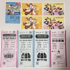 東京ディズニーリゾート【パスポート・リゾラ・座席指定券】まとめ売り