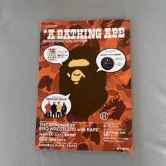 A BATHING APE 2009年春コレクション