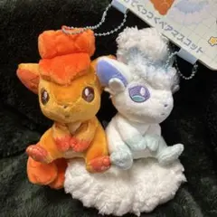 포켓몬 ロコン アローラロコン ぬいぐるみ 마스코트