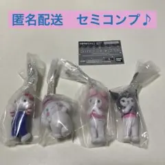 サンリオキャラクターズ　ミニチュアチャーム〜ライブキャラクター~ セミコンプ♪