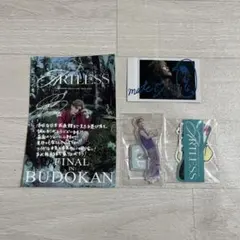 岩田剛典／ARTLESS FINAL 武道館／4点セット