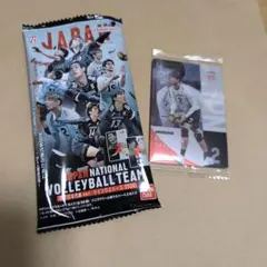 男子日本代表 バレーボール 小野寺太志 メタリックプラカード