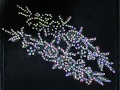 ぽぽ様 リクエスト 2点 まとめ商品