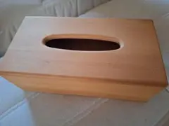 Item thumbnail for item 088d615c-8abd-47e3-89b1-887a3ef794e9