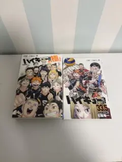 ハイキュー 排球 極 ファイナルガイドブック 33.5 音駒番外編