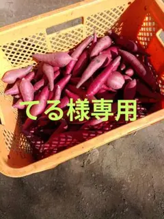 【農家直送】千葉県産 紅はるか 3Sちびちびサイズ 10キロ