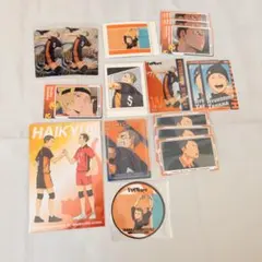 ハイキュー 烏野 田中龍之介 ウエハース スナップマイド ポストカード セット