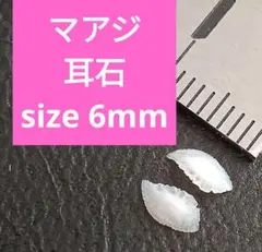 マアジ 耳石 お守りパワーストーン天然石宝石開運受験生物学 F68