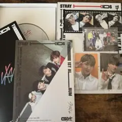 Stray Kids アルバム GO生 トレカ類付き(チャンビン)
