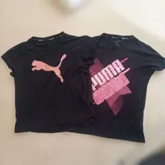 PUMA ブラック Tシャツ 2枚セット