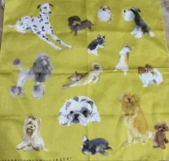 Item thumbnail for item 13d30a70-b411-4afd-b5ac-c90497f88259