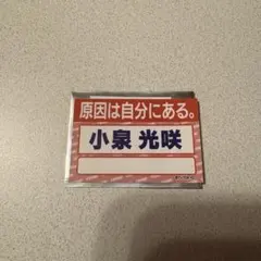 ダンエビ　ステッカー　小泉光咲