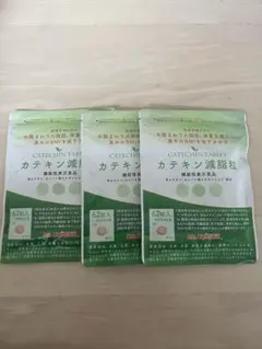 DMJえがお生活 カテキン減脂粒 3袋セットのサムネイル