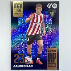 ハウレギサール PANINI MEGACRACKS 25-26