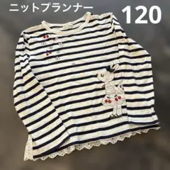 ニットプランナー 120