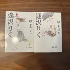 逢沢りく 上下巻セット