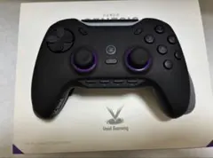 Void Gaming GENESIS