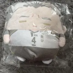 ハイキュー‼︎ くじメイト ぬいくじ C賞 ふわコロりん　Mサイズ 木兎光太郎