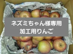 【ネズミちゃん様専用b11】加工用りんご