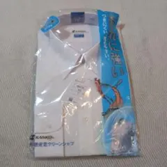 Item thumbnail for item 0a81911f-e16b-40fe-bc6f-542d35b08e1a