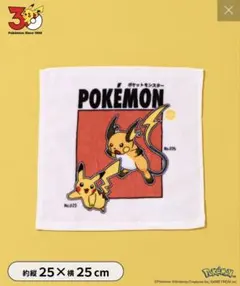 ポケモン ミニタオル 3COINS ライチュウ　ピカチュウ