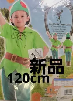 ピーターパン 衣装 ディズニー 120