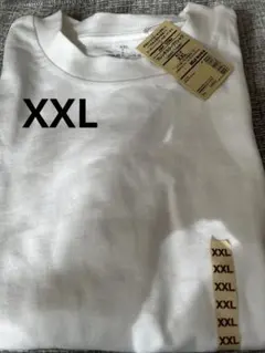 無印良品　太番手天竺編み　フレンチスリーブTシャツ　新品タグ付 定価1490円