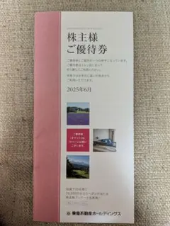東急不動産株主優待券 宿泊割引券 2025年6月発行